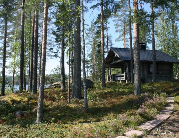 SN_saunatupa