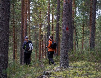 Rental cottage vuokramökki Saimaa nature trail luontopolku